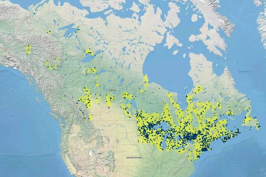 Nuphar variegata Native Range