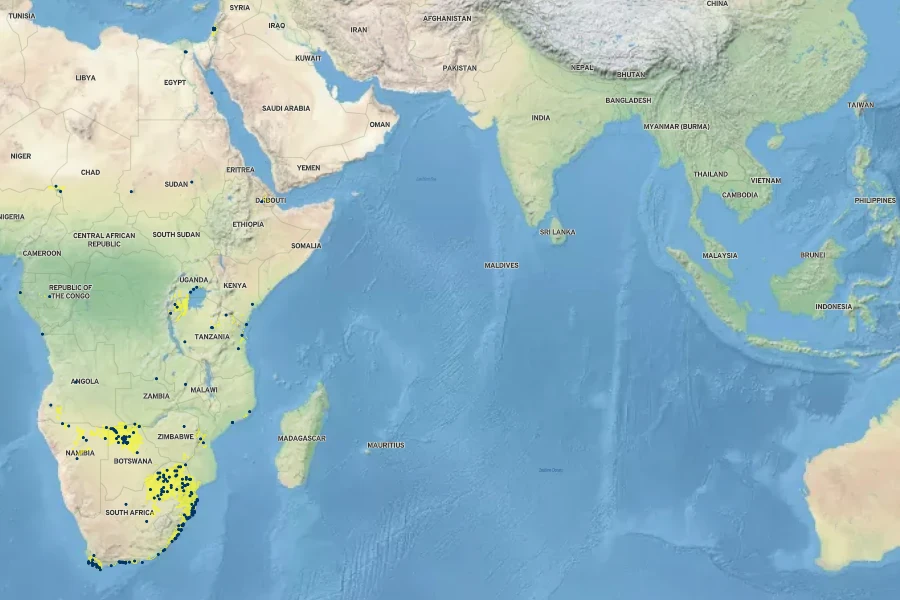 Nymphaea nouchali var. caerulea Native Range