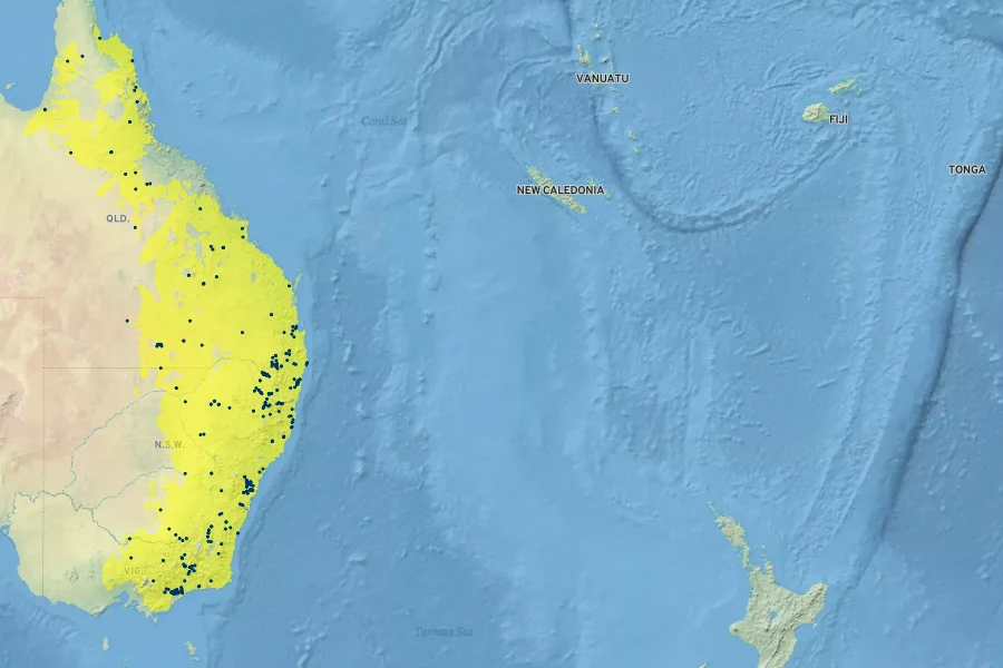 Nymphoides geminata Native Range