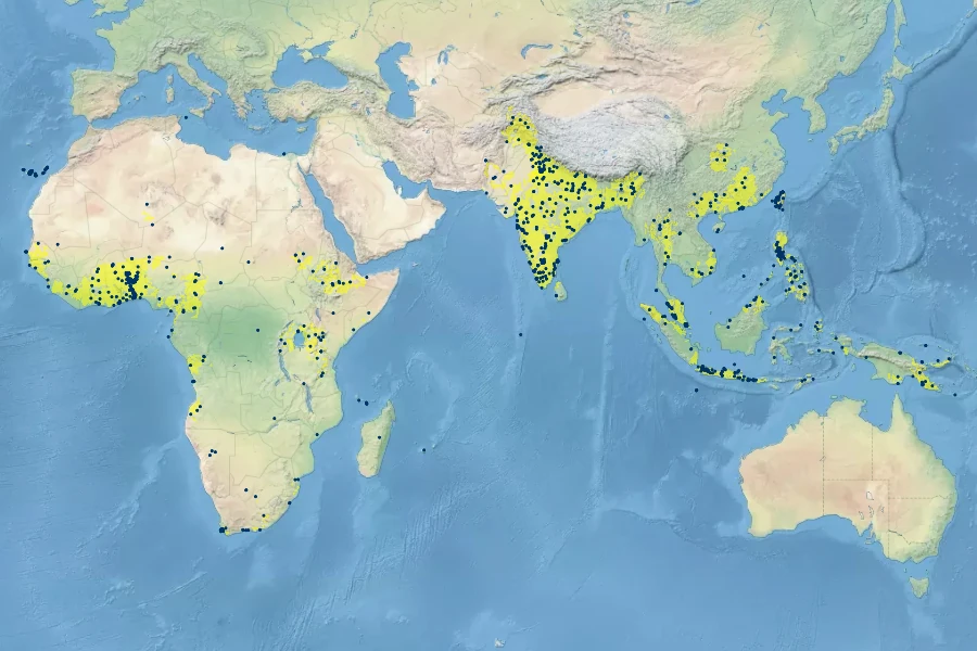Ocimum basilicum Native Range