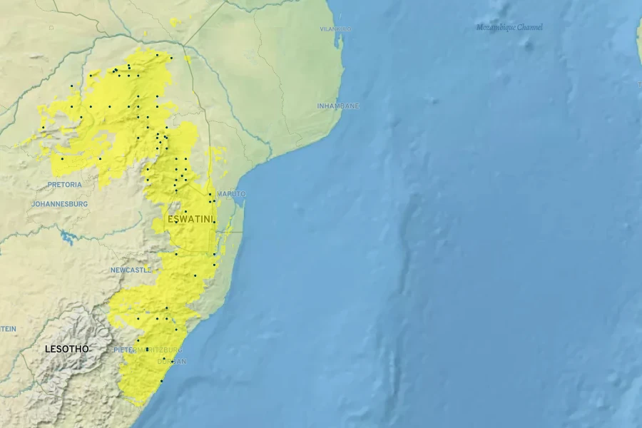 Ocimum labiatum Native Range