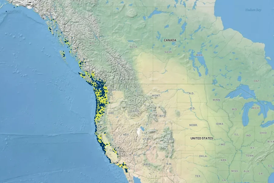 Oenanthe sarmentosa Native Range