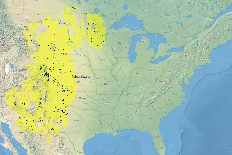 Oenothera albicaulis Native Range