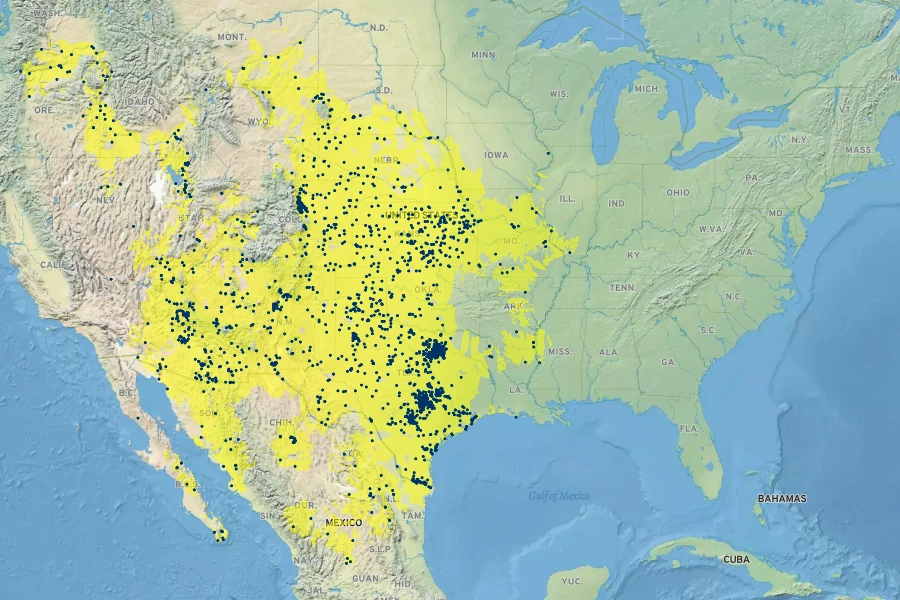 Oenothera curtiflora Native Range