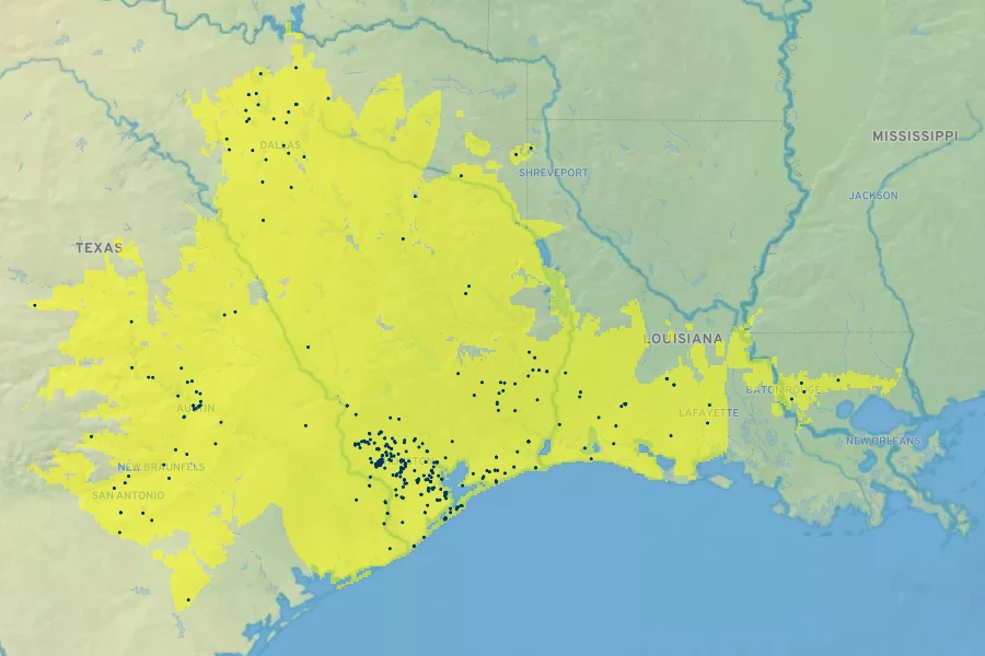 Oenothera lindheimeri Native Range