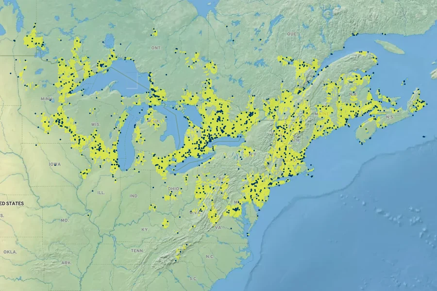Oenothera parviflora Native Range