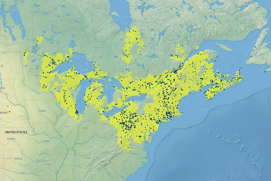 Oenothera perennis Native Range