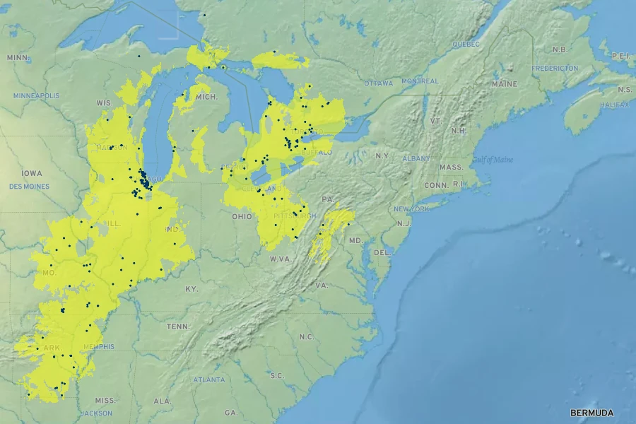 Oenothera pilosella Native Range