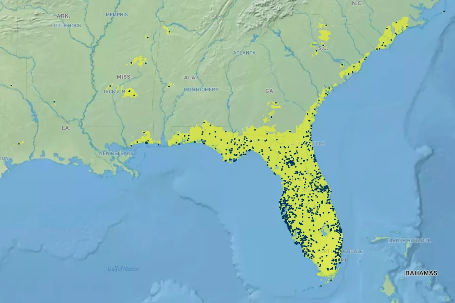 Oenothera simulans Native Range