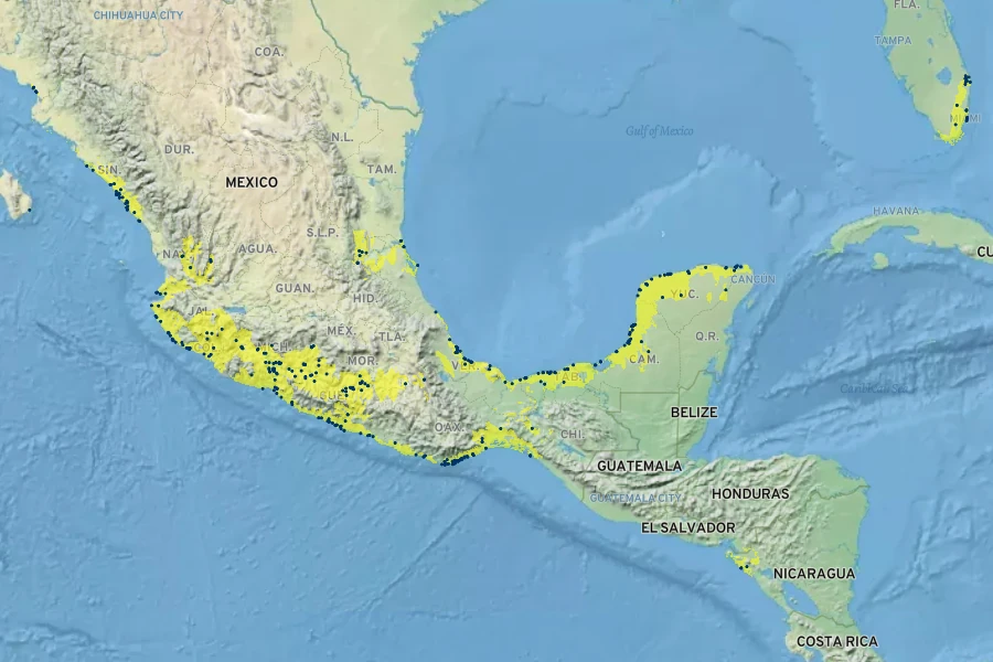 Okenia hypogaea Native Range