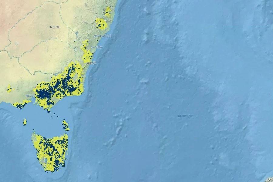 Olearia phlogopappa Native Range