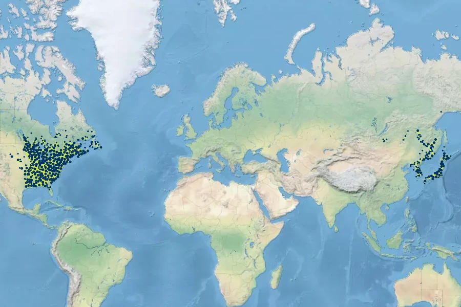 Onoclea sensibilis Native Range