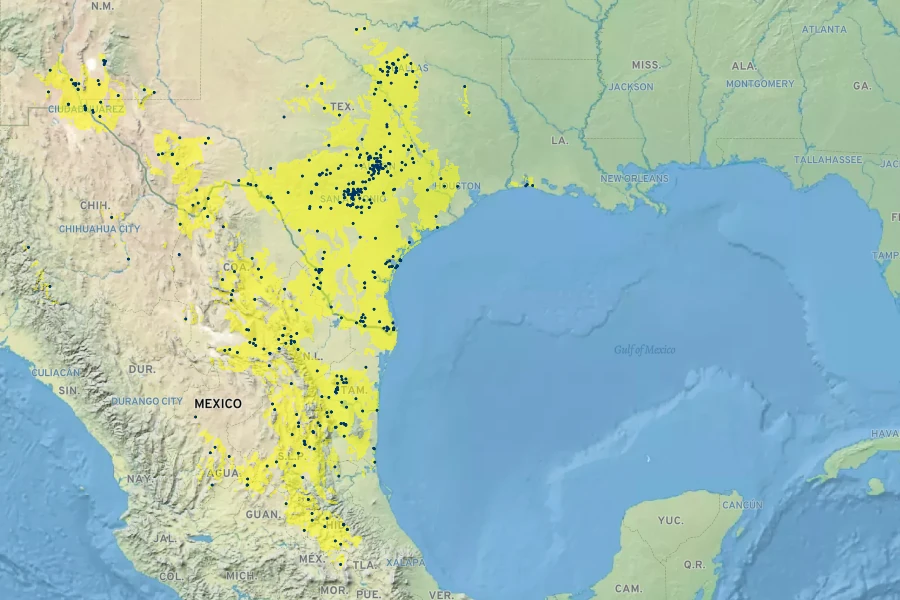 Opuntia lindheimeri Native Range