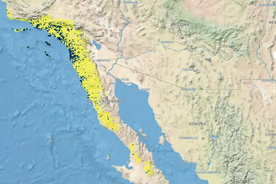 Opuntia littoralis Native Range