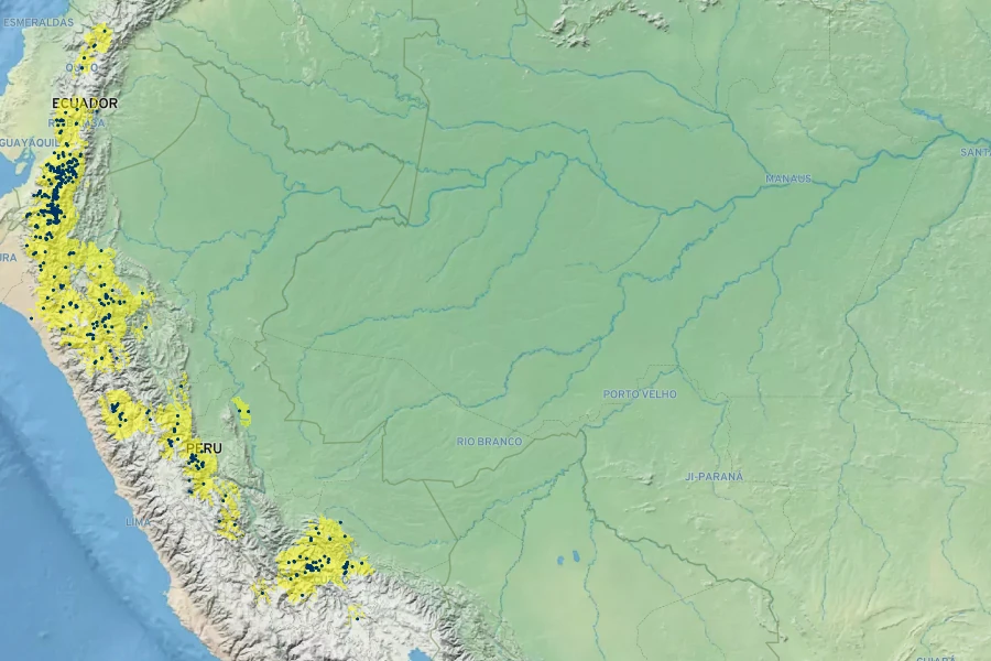 Oreocallis grandiflora Native Range