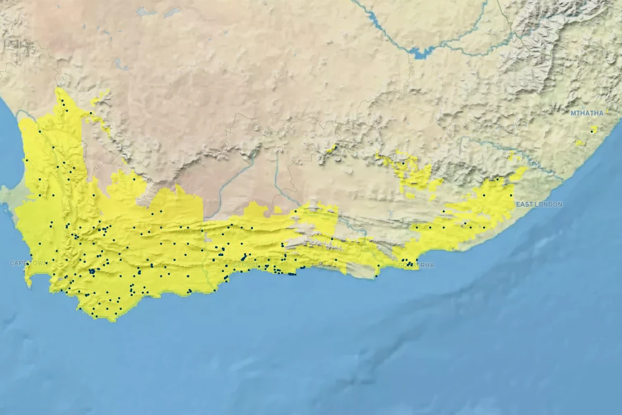 Ornithogalum dubium Native Range