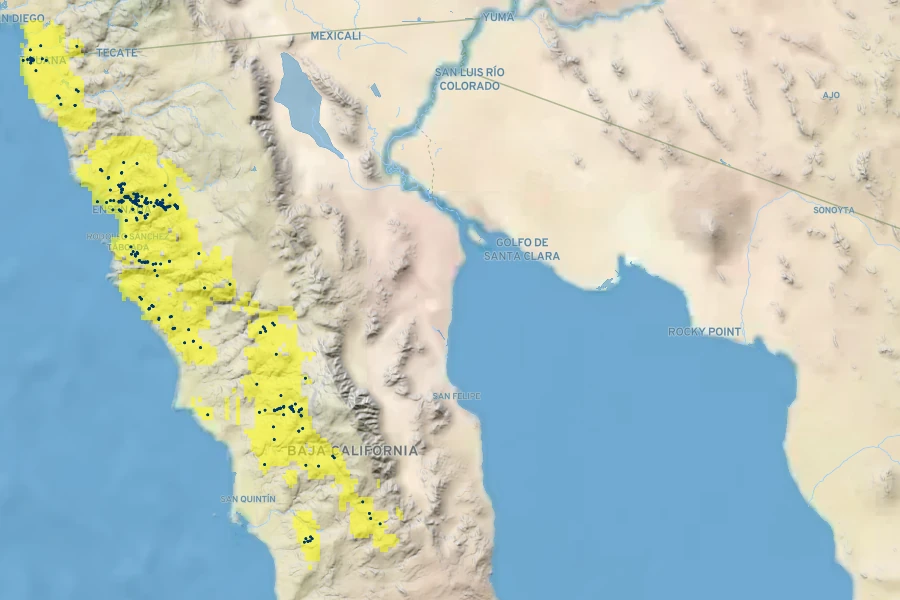Ornithostaphylos oppositifolia Native Range