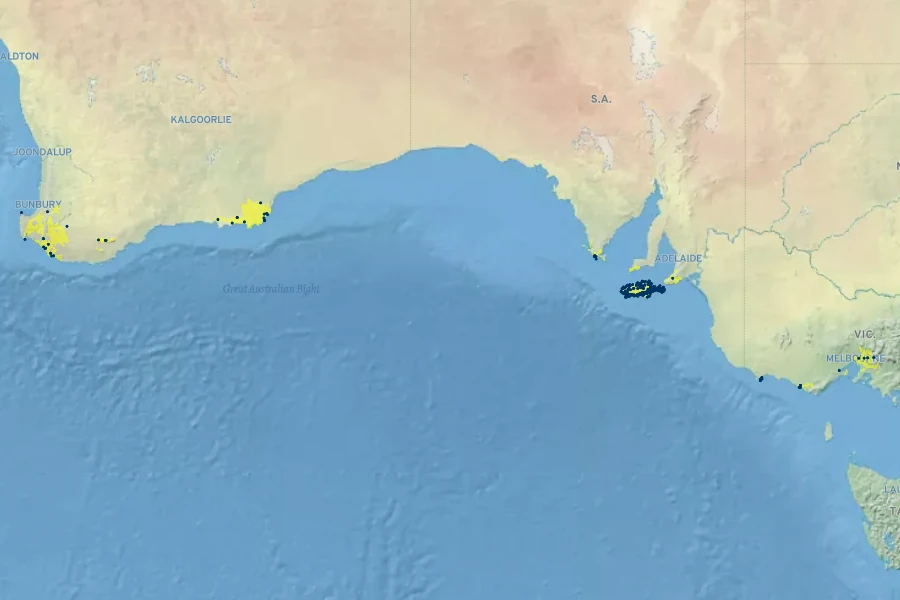 Orthrosanthus multiflorus Native Range