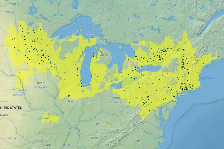 Oryzopsis racemosa Native Range