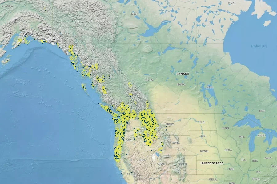 Osmorhiza purpurea Native Range