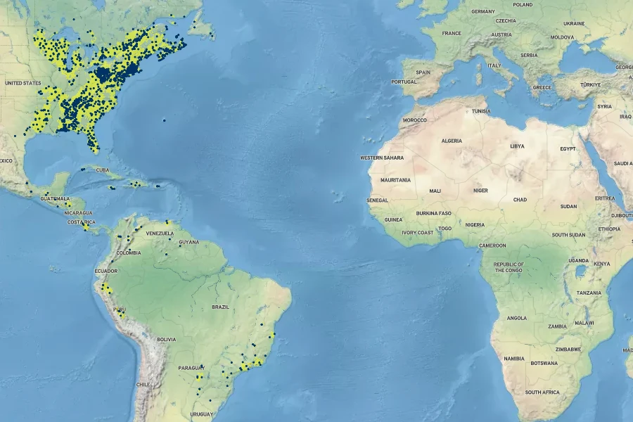 Osmunda cinnamomea Native Range
