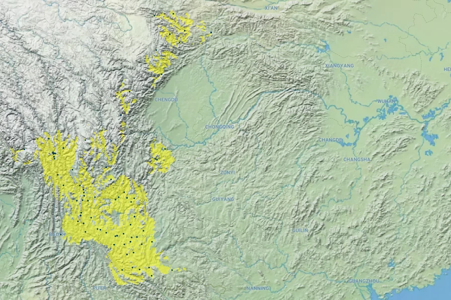 Osteomeles schwerinae Native Range