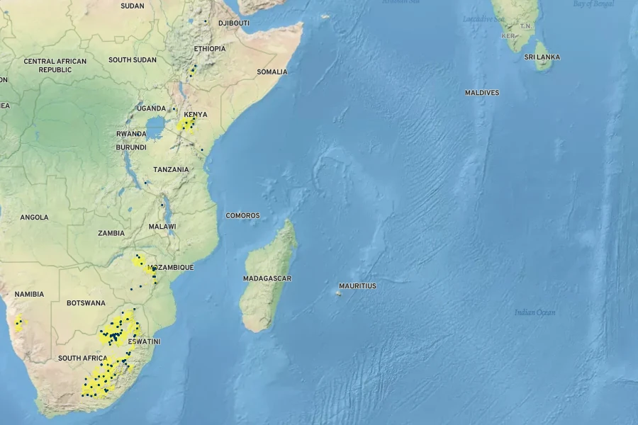 Osyris lanceolata Native Range