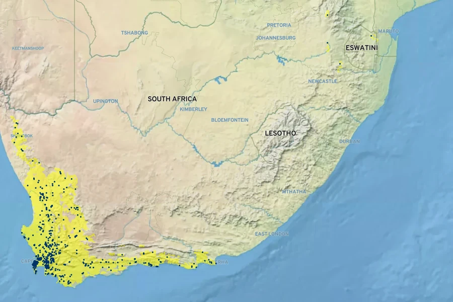 Oxalis purpurea Native Range