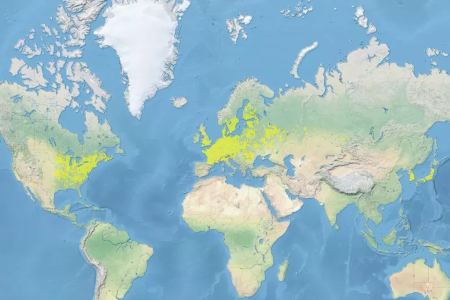 Oxalis stricta Native Range