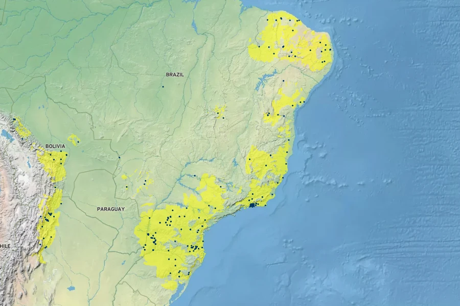 Oxalis triangularis Native Range