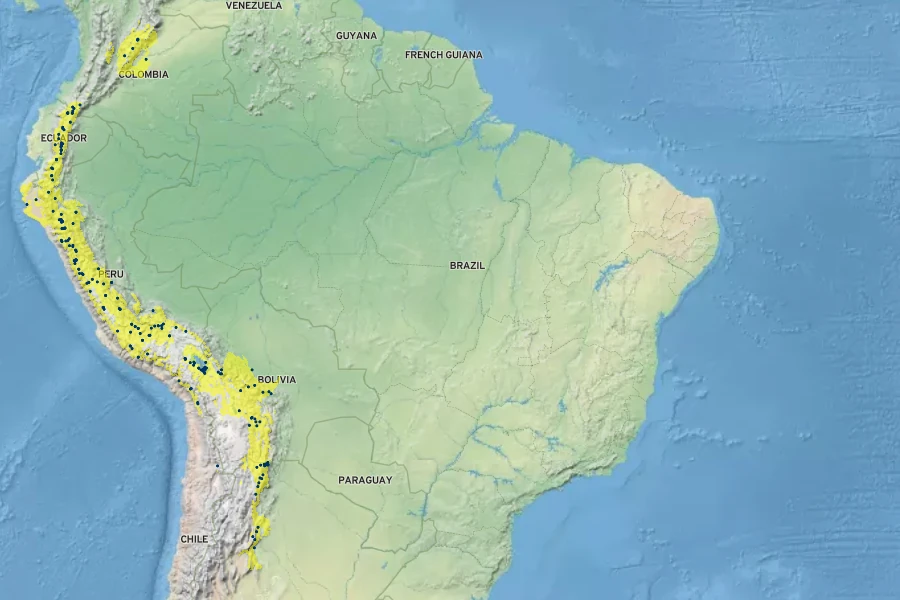 Oxalis tuberosa Native Range