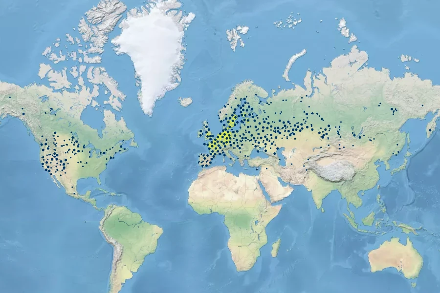 Oxybasis rubra Native Range