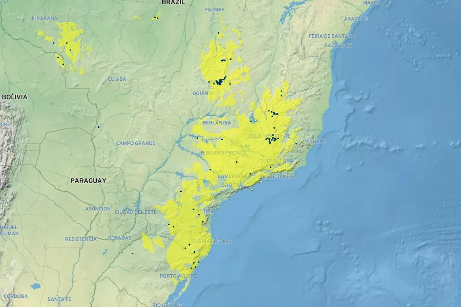 Oxypetalum erectum Native Range