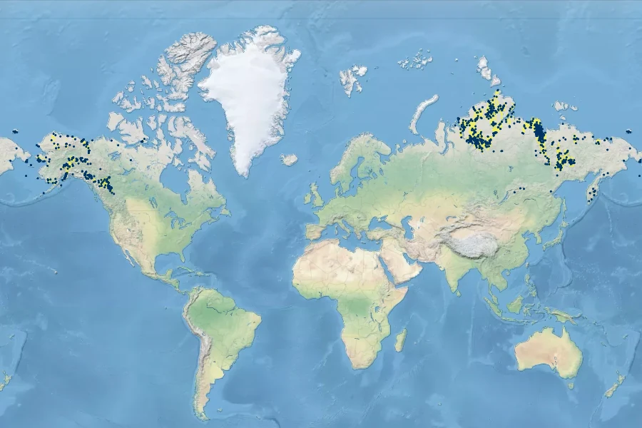 Oxytropis nigrescens Native Range