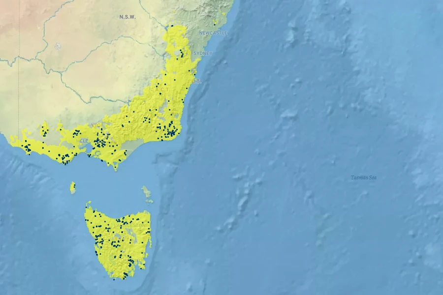 Ozothamnus rosmarinifolius Native Range