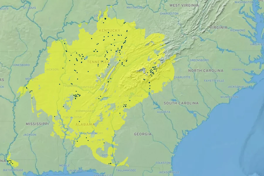 Pachysandra procumbens Native Range