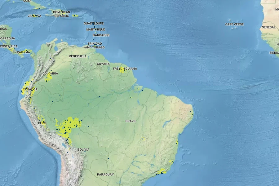 Pachystachys spicata Native Range