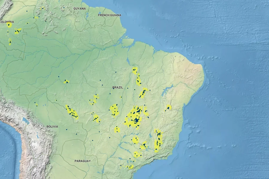 Paepalanthus chiquitensis Native Range