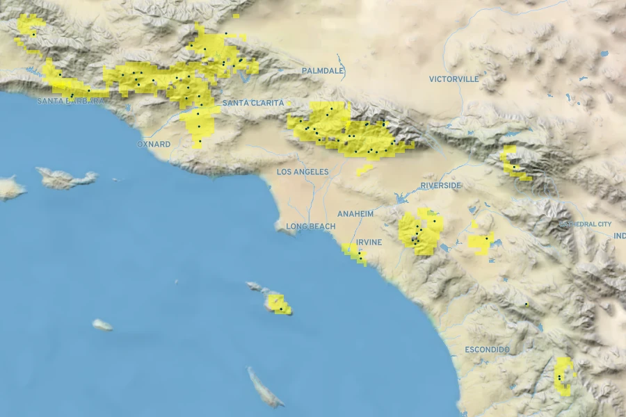 Palmerella debilis subsp. serrata Native Range