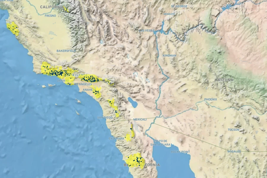 Palmerella debilis Native Range