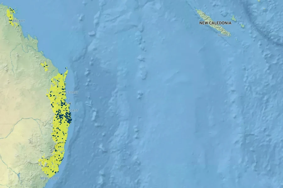 Pandorea jasminoides Native Range