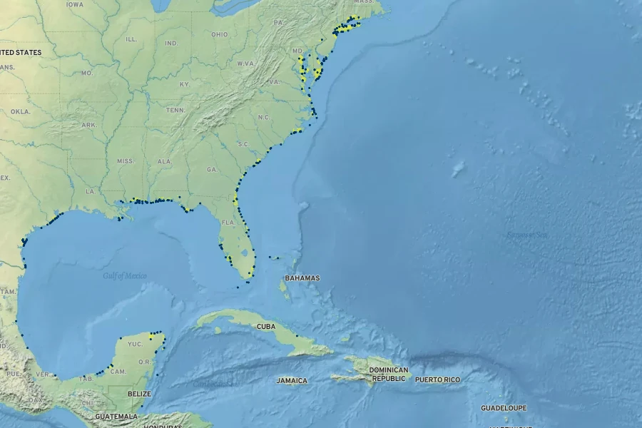 Panicum amarum Native Range