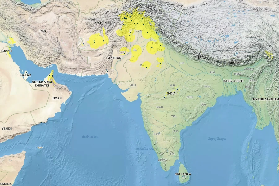 Panicum antidotale Native Range