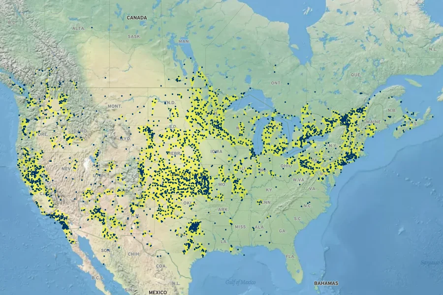 Panicum capillare Native Range