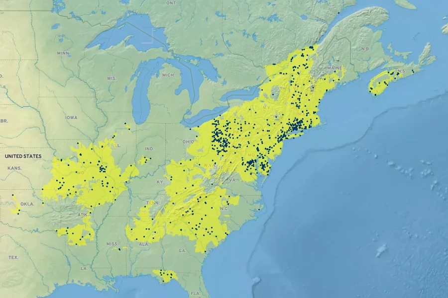 Panicum clandestinum Native Range