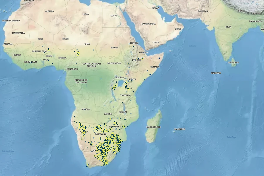 Panicum coloratum Native Range