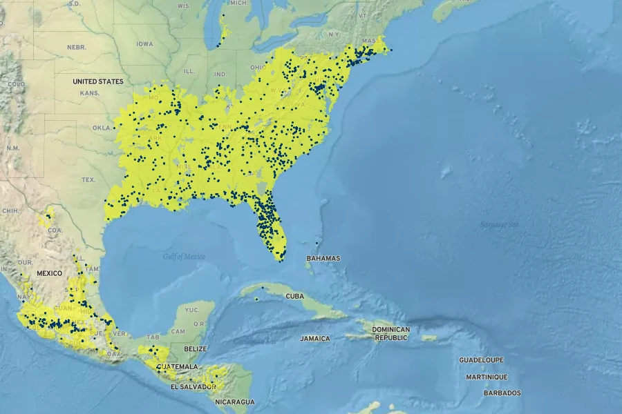 Panicum commutatum Native Range