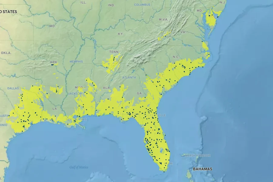 Panicum hemitomon Native Range