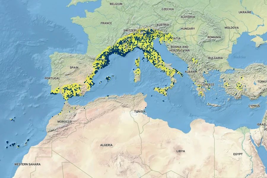 Papaver somniferum Native Range