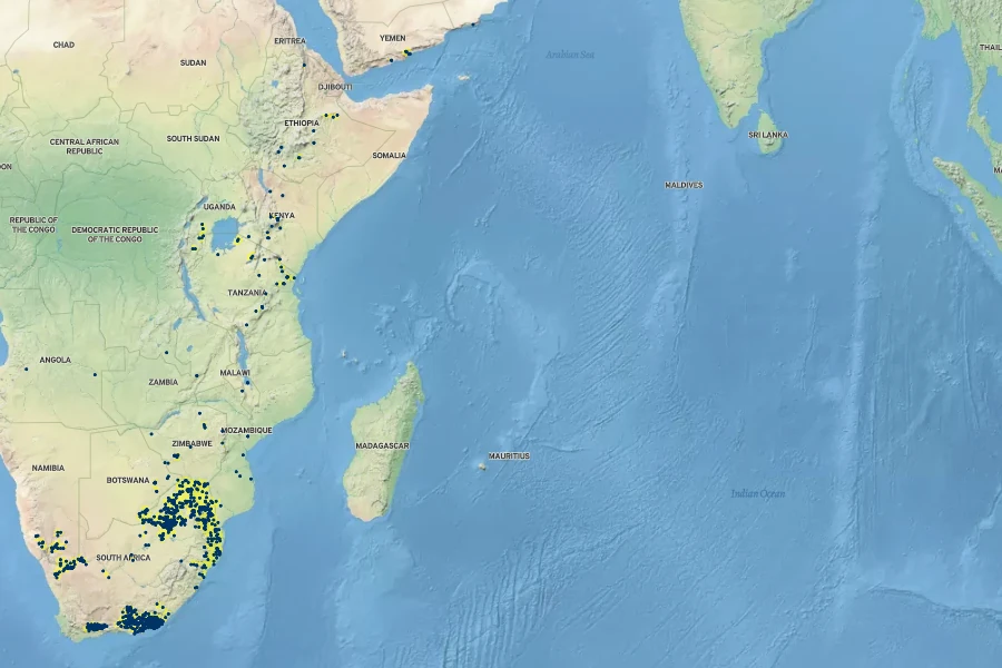 Pappea capensis Native Range